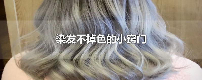 染发不掉色的小窍门