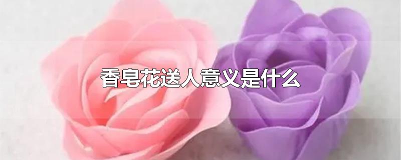 香皂花送人意义是什么