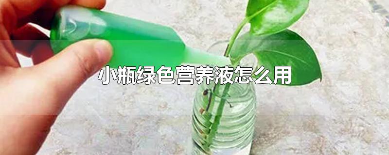 小瓶绿色营养液怎么用