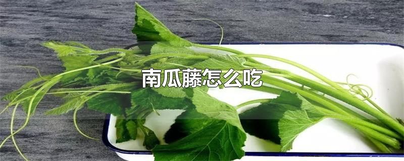 南瓜藤怎么吃