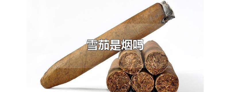 雪茄是烟吗