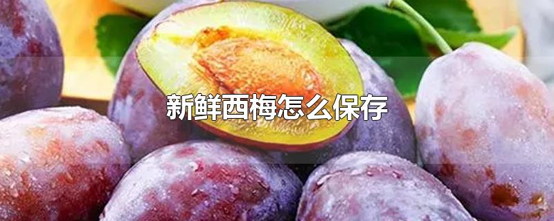 新鲜西梅怎么保存