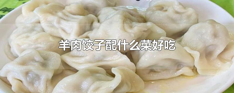 羊肉饺子配什么菜好吃