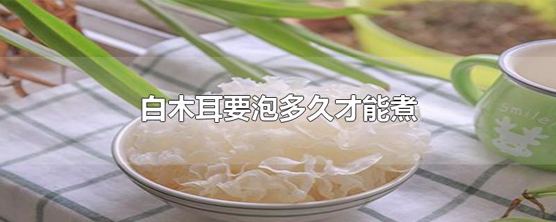 白木耳要泡多久才能煮