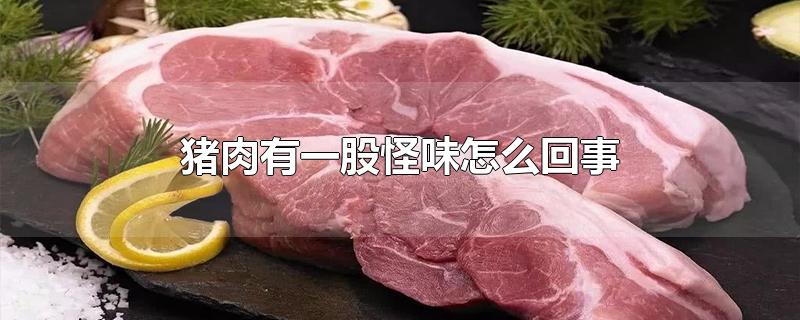 猪肉有一股怪味怎么回事