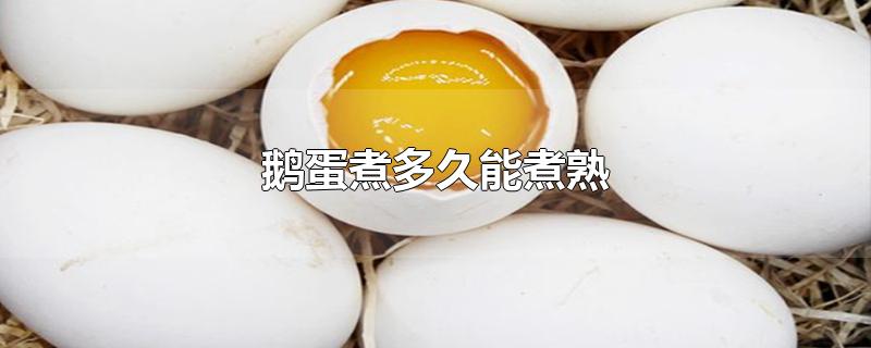 鹅蛋煮多久能煮熟