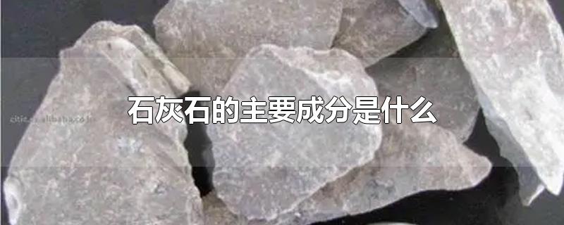 石灰石的主要成分是什么