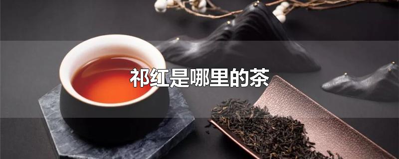 祁红是哪里的茶