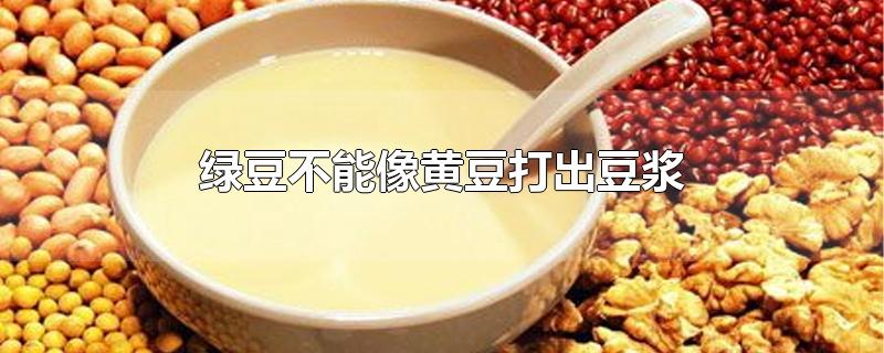 绿豆不能像黄豆打出豆浆