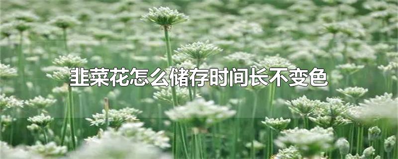 韭菜花怎么储存时间长不变色