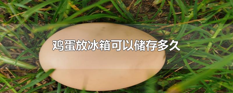 鸡蛋放冰箱可以储存多久