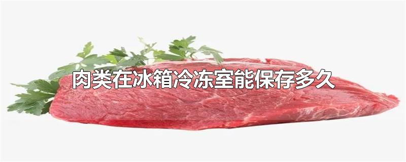 肉类在冰箱冷冻室能保存多久