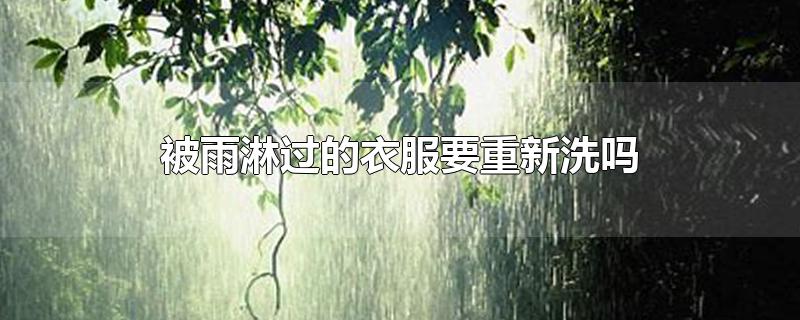 被雨淋过的衣服要重新洗吗