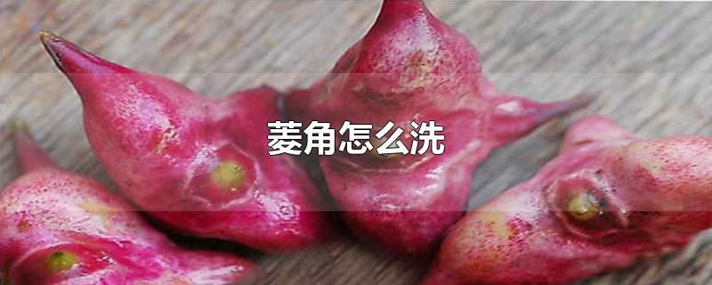 菱角怎么洗