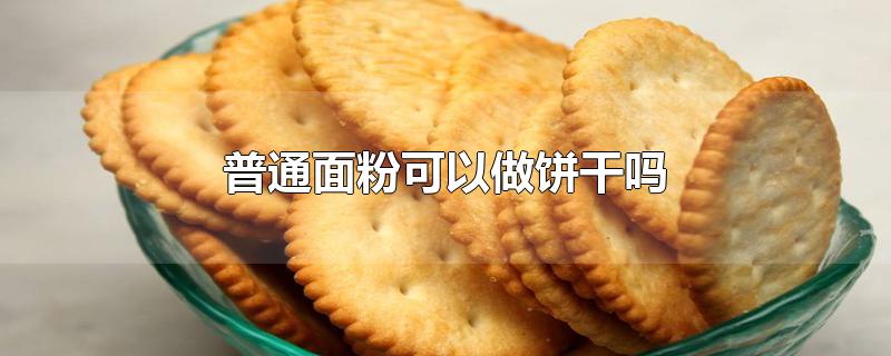 普通面粉可以做饼干吗