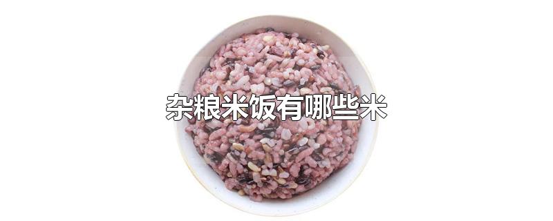 杂粮米饭有哪些米