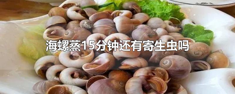 海螺蒸15分钟还有寄生虫吗