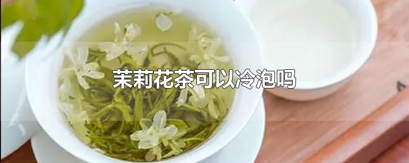 茉莉花茶可以冷泡吗