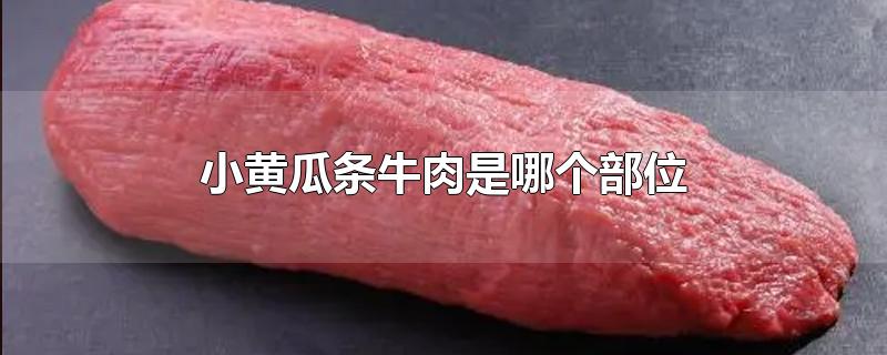 小黄瓜条牛肉是哪个部位