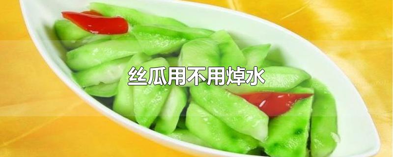 丝瓜用不用焯水