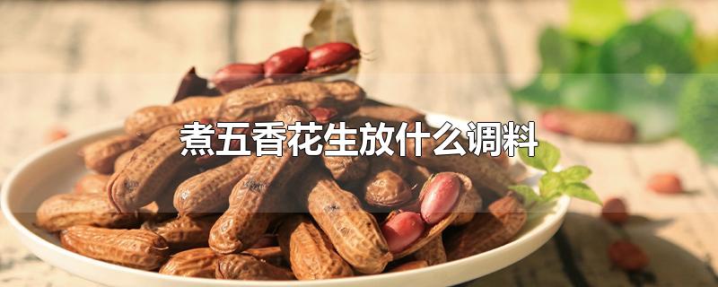 煮五香花生放什么调料