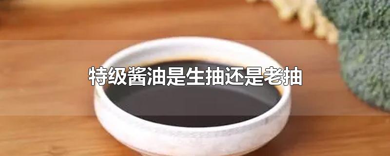 特级酱油是生抽还是老抽