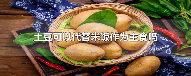 土豆可以代替米饭作为主食吗