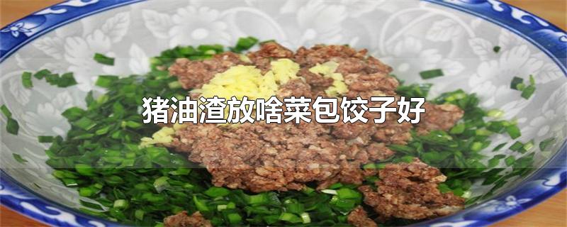 猪油渣放啥菜包饺子好