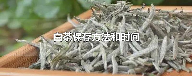 白茶保存方法和时间