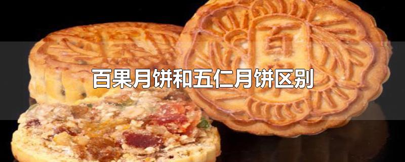 百果月饼和五仁月饼区别