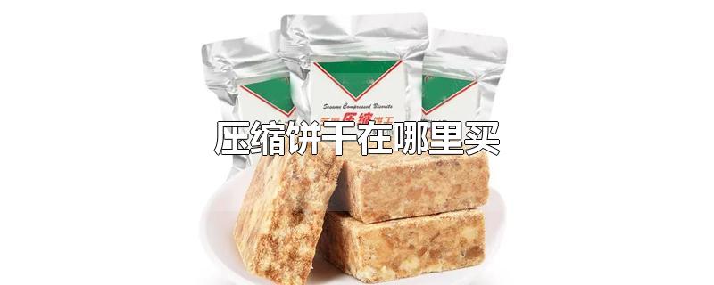 压缩饼干在哪里买