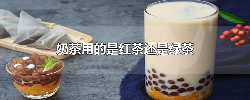 奶茶用的是红茶还是绿茶