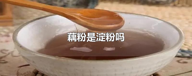 藕粉是淀粉吗