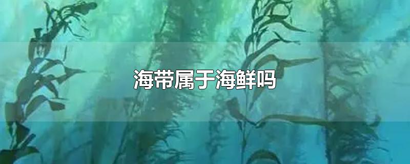 海带属于海鲜吗