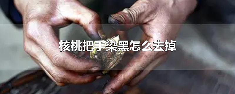 核桃把手染黑怎么去掉