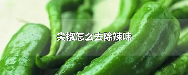 尖椒怎么去除辣味