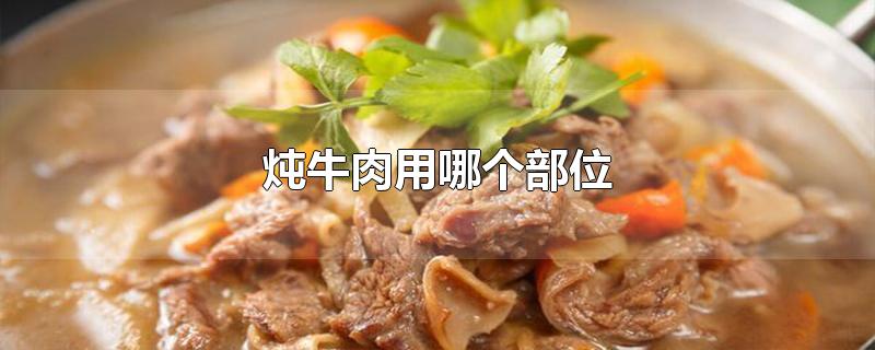 炖牛肉用哪个部位