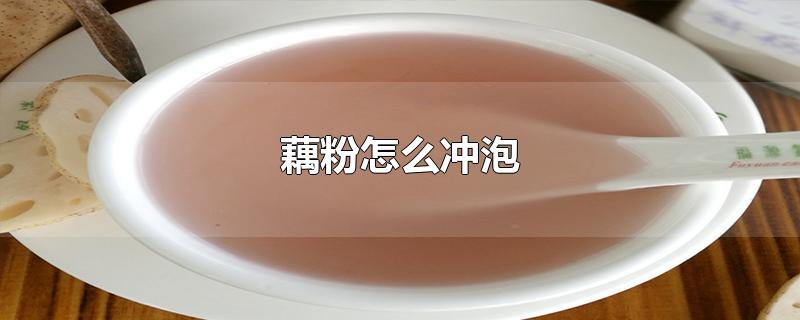 藕粉怎么冲泡