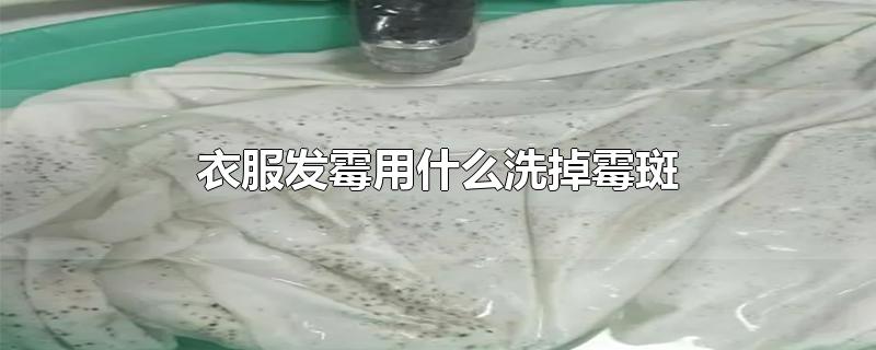 衣服发霉用什么洗掉霉斑