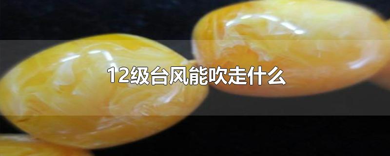 12级台风能吹走什么