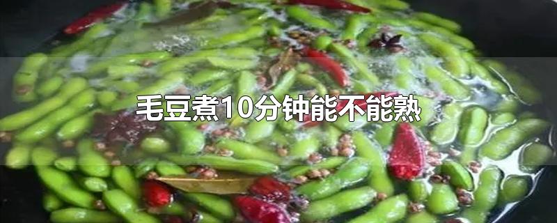 毛豆煮10分钟能不能熟