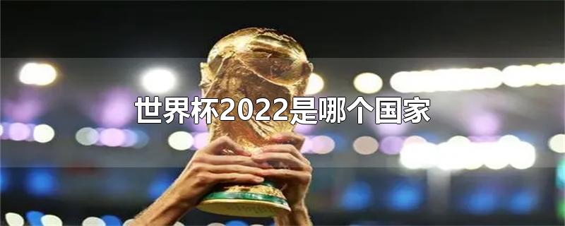 世界杯2022是哪个国家