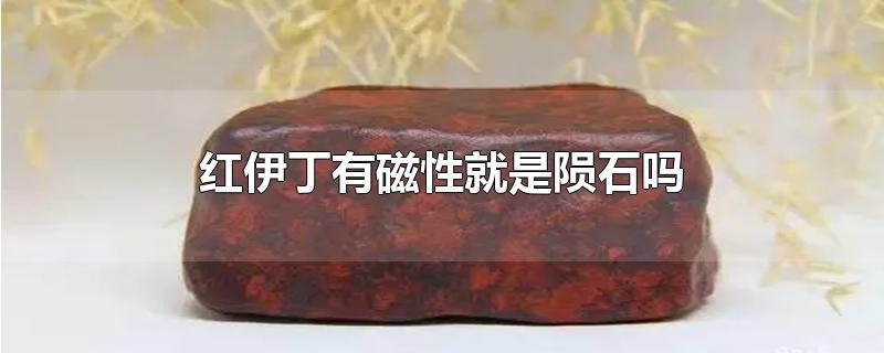 红伊丁有磁性就是陨石吗