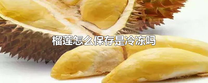 榴莲怎么保存是冷冻吗