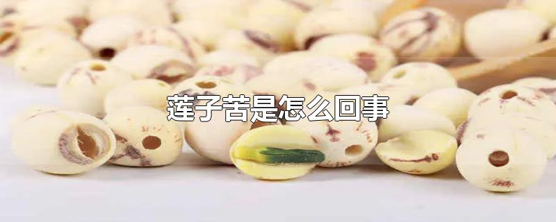 莲子苦是怎么回事