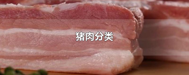 猪肉分类