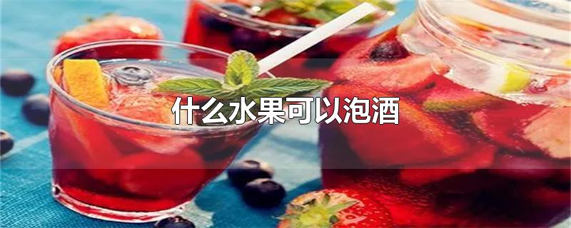 什么水果可以泡酒