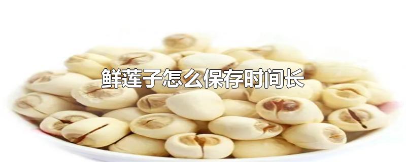 鲜莲子怎么保存时间长