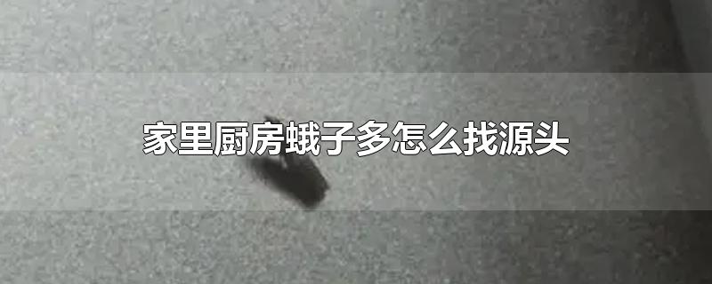 家里厨房蛾子多怎么找源头