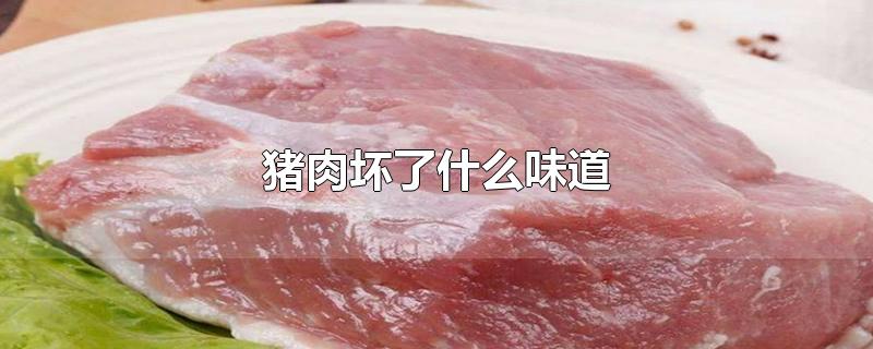 猪肉坏了什么味道